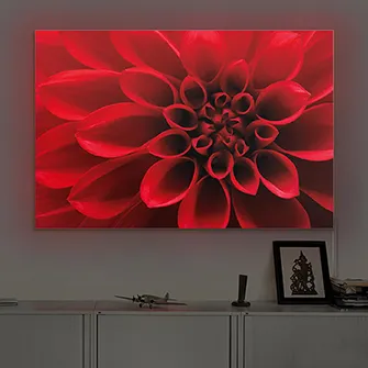 LED-Leuchtbild rote Dahlienblüte