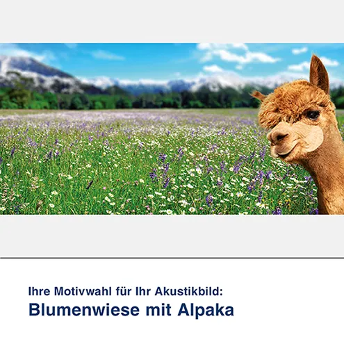Akustikbild Blumenwiese mit Alpaka