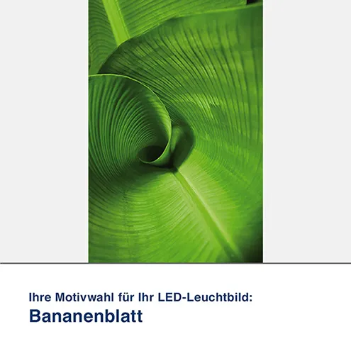 LED-Leuchtbild Bananenblatt