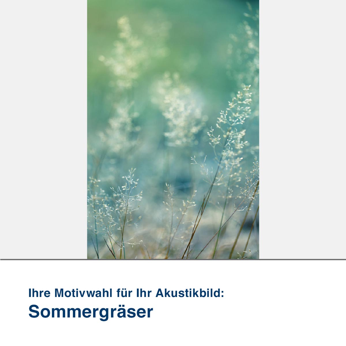 Akustikbild Motiv Sommergräser