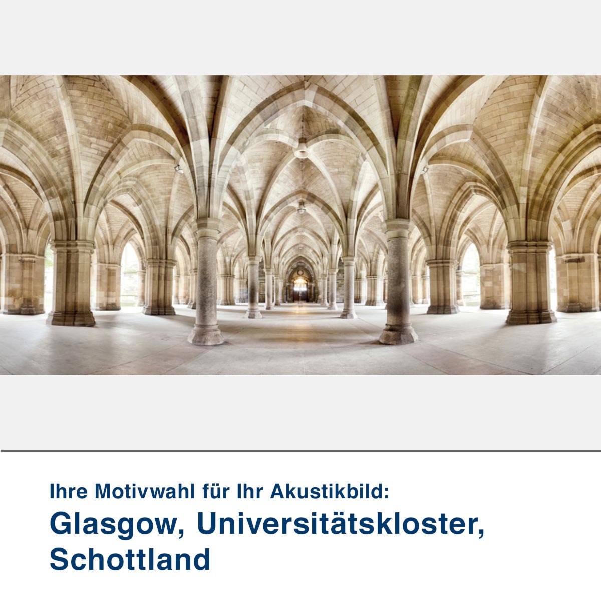 Akustikbild Motiv Hufeisenförmige Glasstruktur 