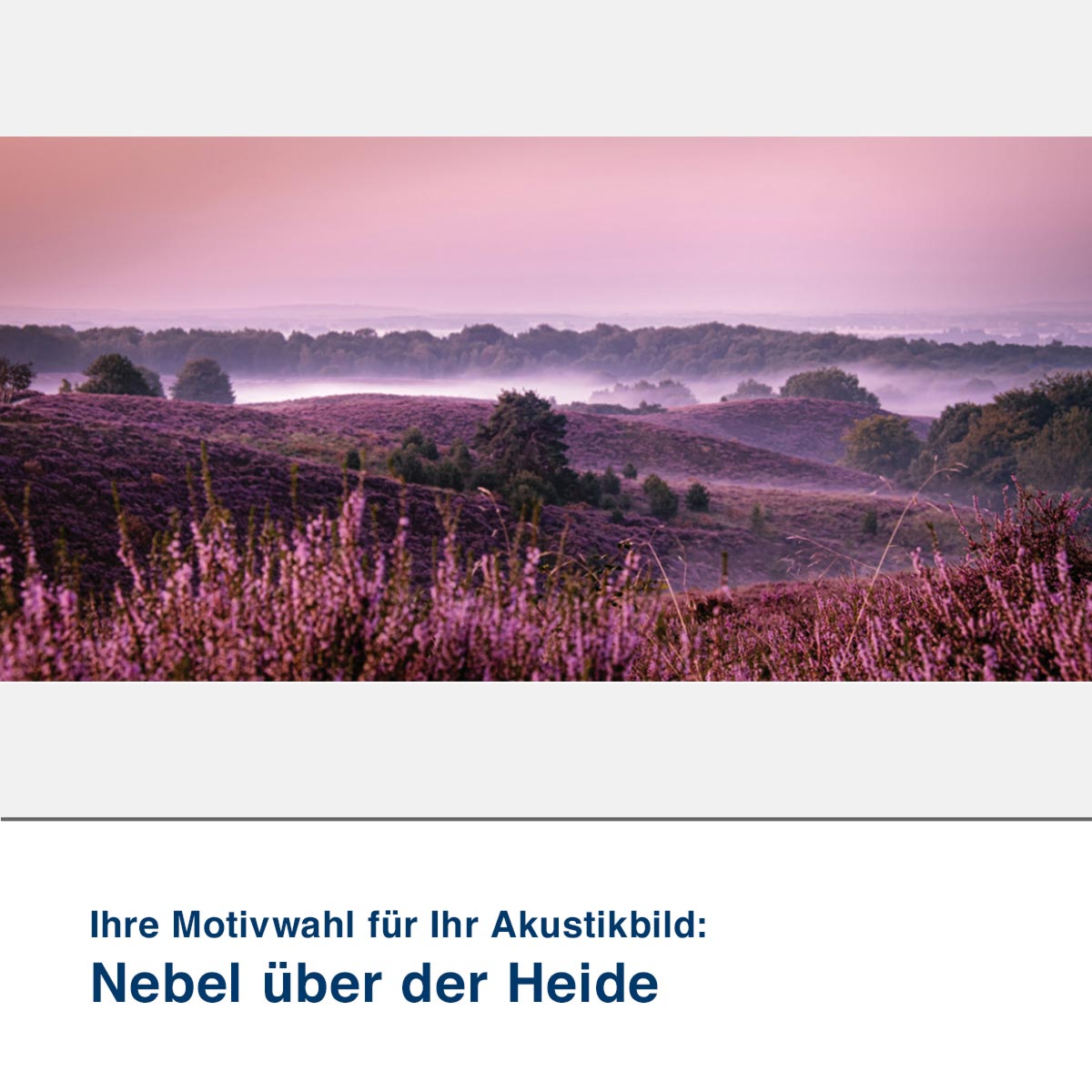 Akustikbild Motiv Nebel über der Heide