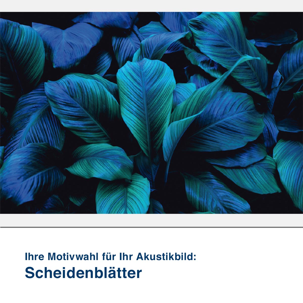 Akustikbild Motiv Scheidenblätter