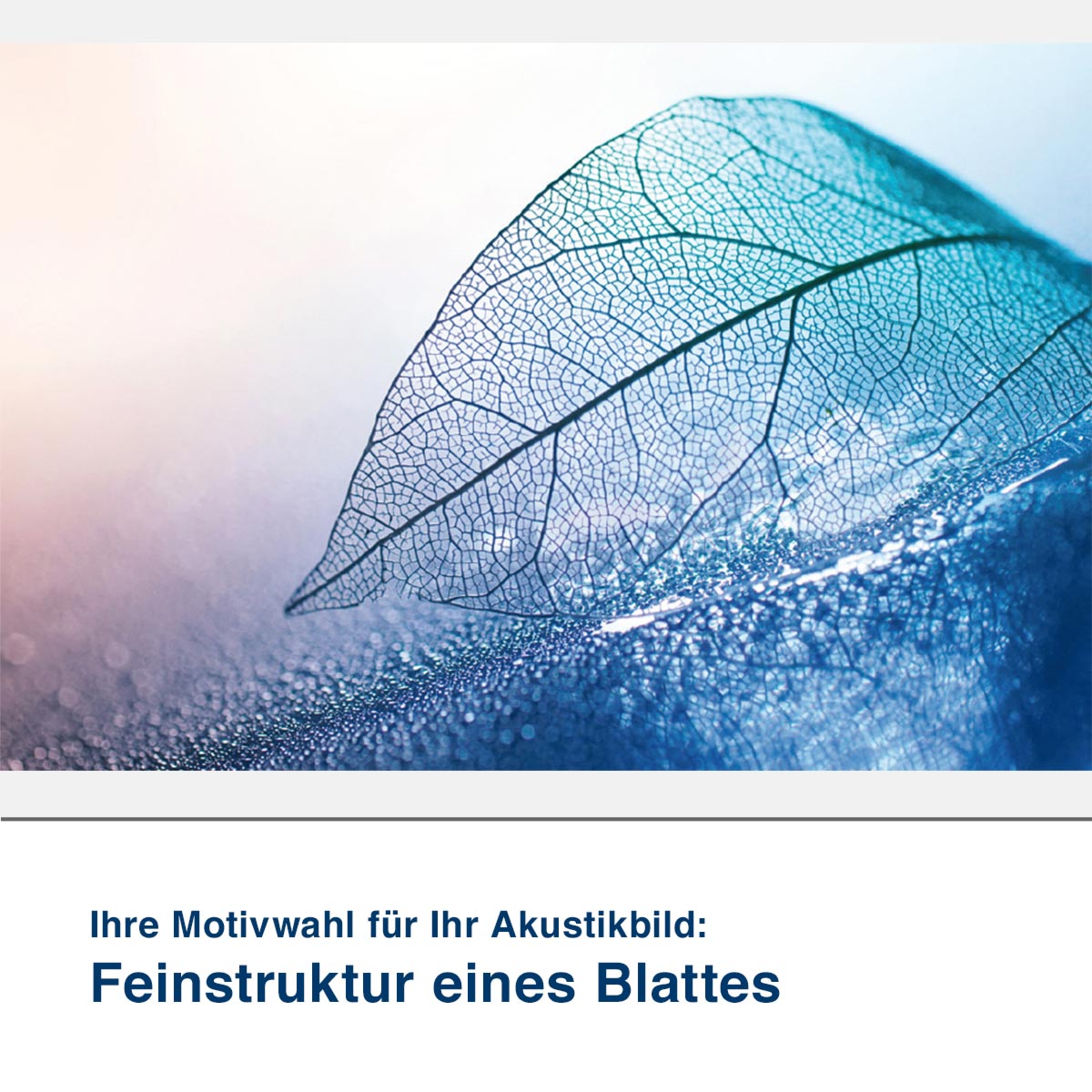 Akustikbild Motiv Feinstruktur eines Blattes