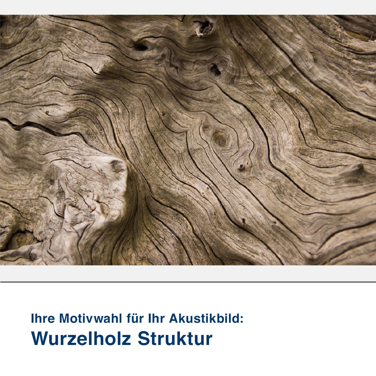 Akustikbild Motiv Wurzelholz Struktur