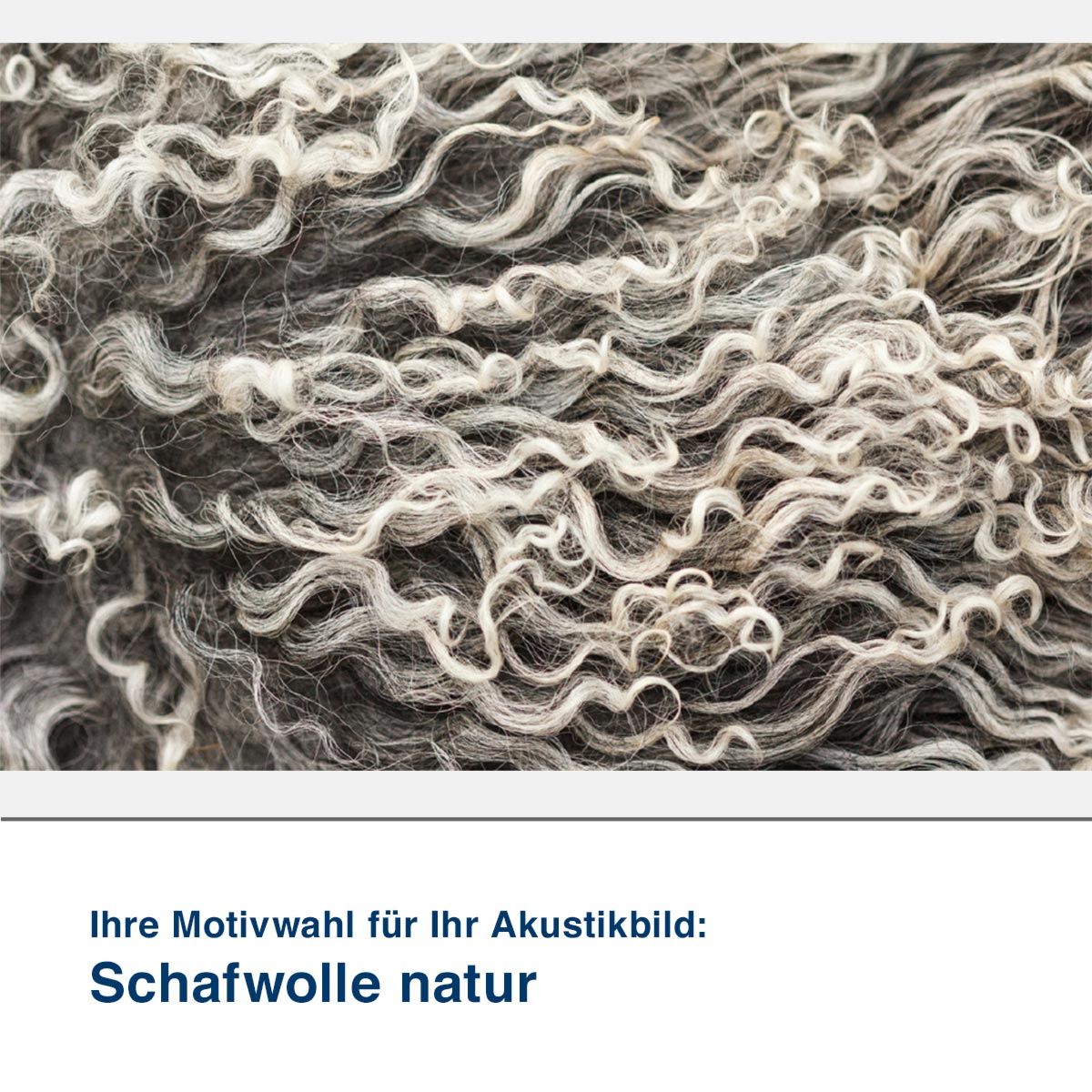 Akustikbild Motiv Schafwolle natur