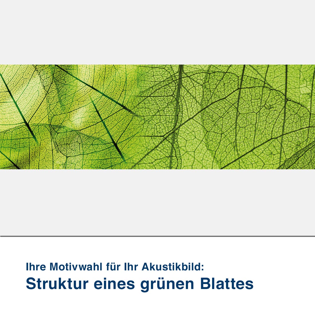 Akustikbild Motiv Struktur eines grünen Blattes
