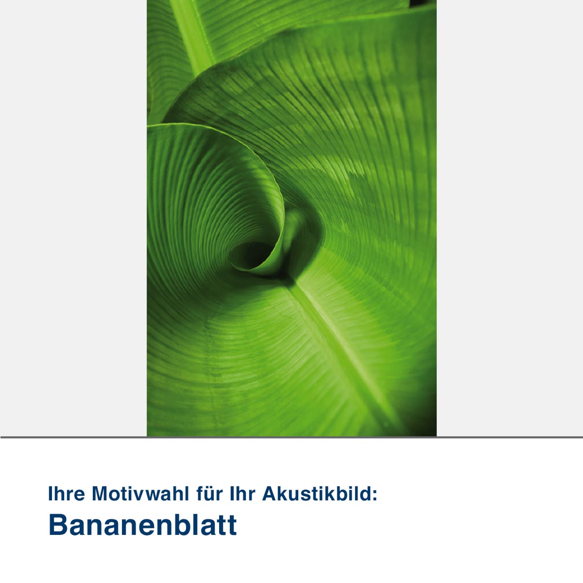 Akustikbild Motiv Bananenblatt