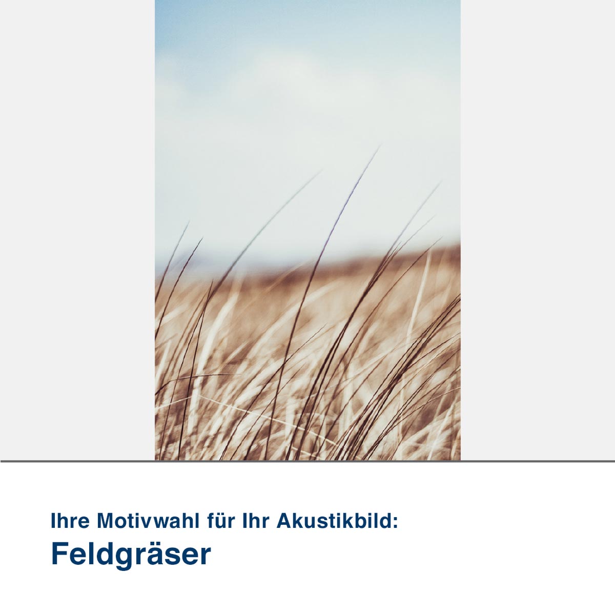 Akustikbild Motiv Feldgräser