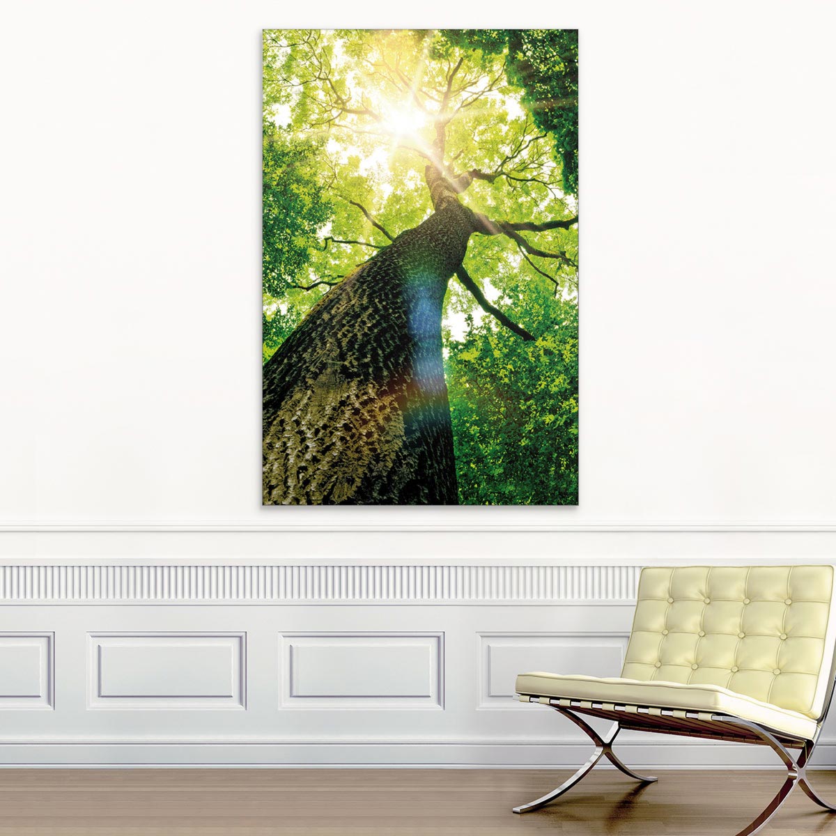 Akustikbild Baumkrone im Wald