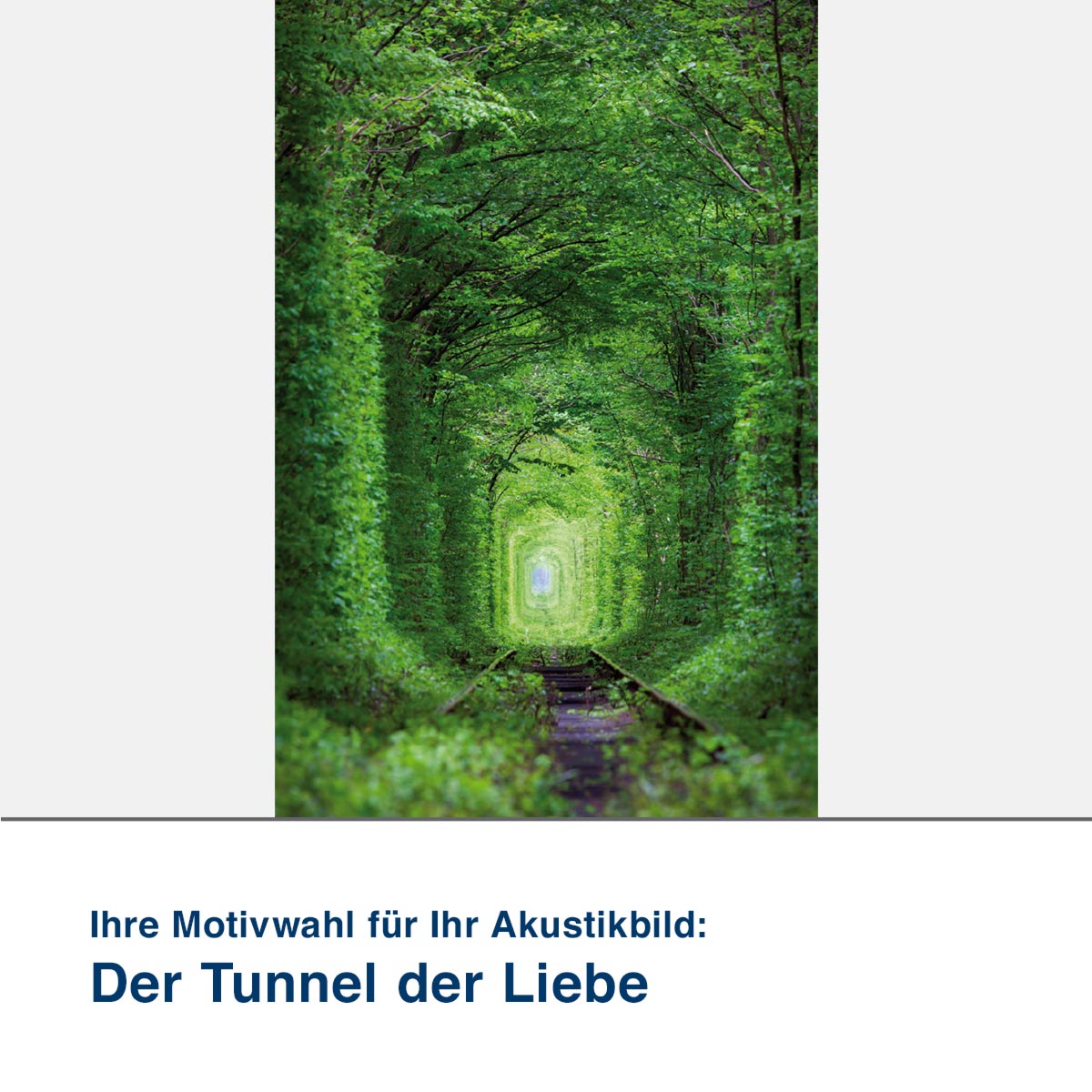 Akustikbild Motiv Der Tunnel der Liebe