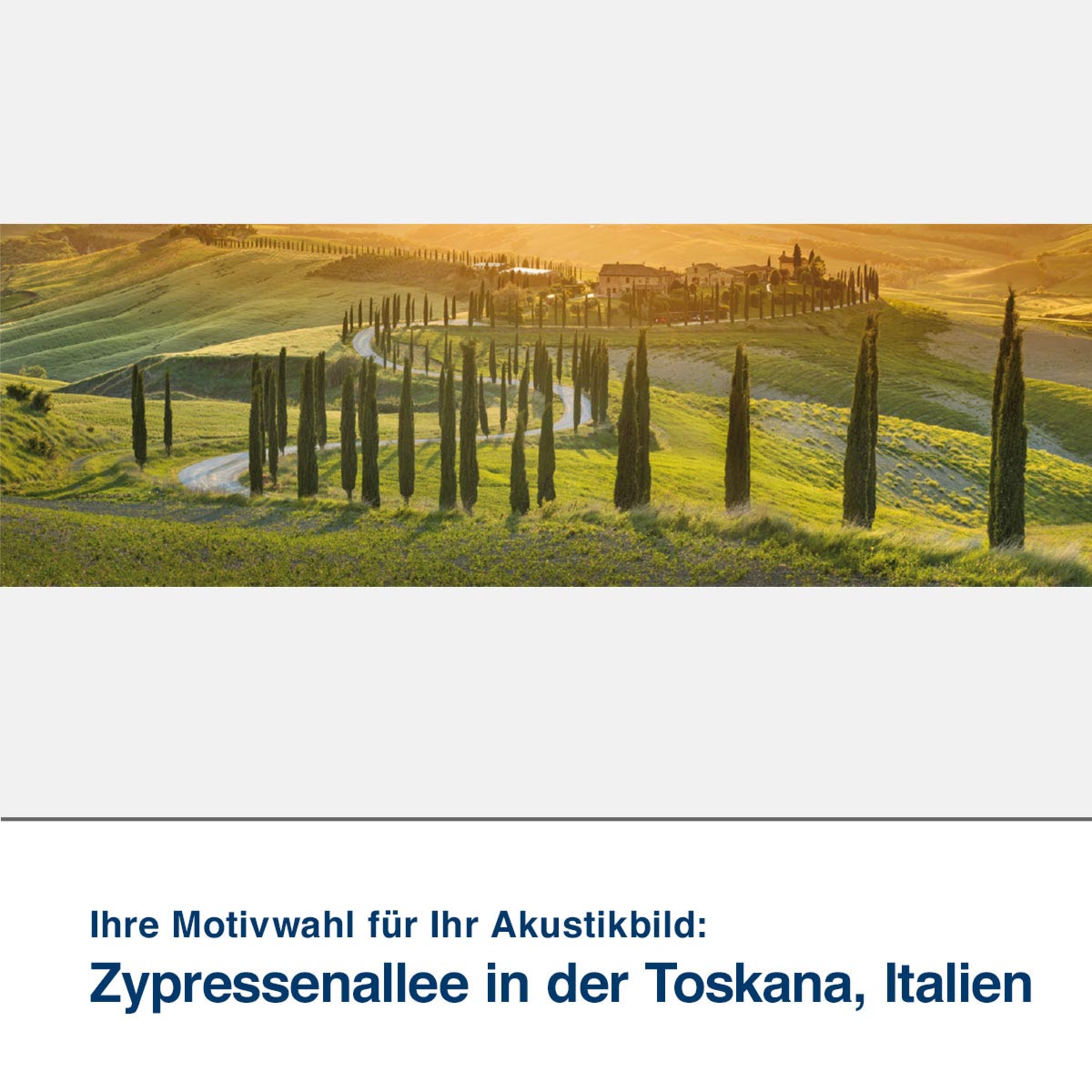 Akustikbild Motiv Zypressenallee in der Toskana, Italien