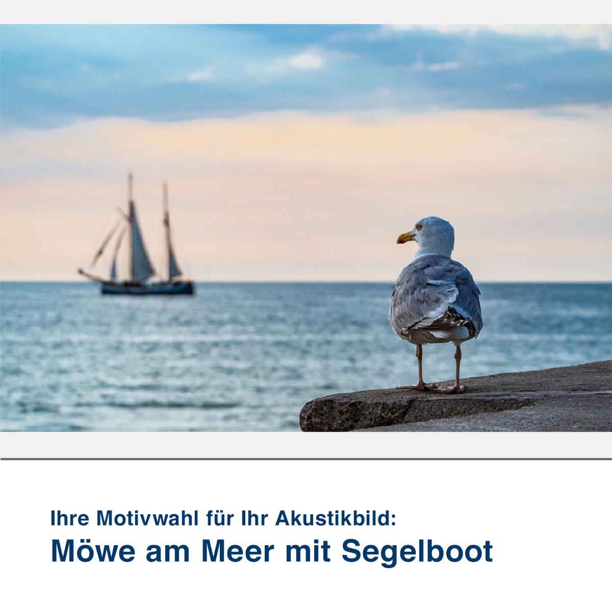 Akustikbild Motiv Möwe am Meer mit Segelboot
