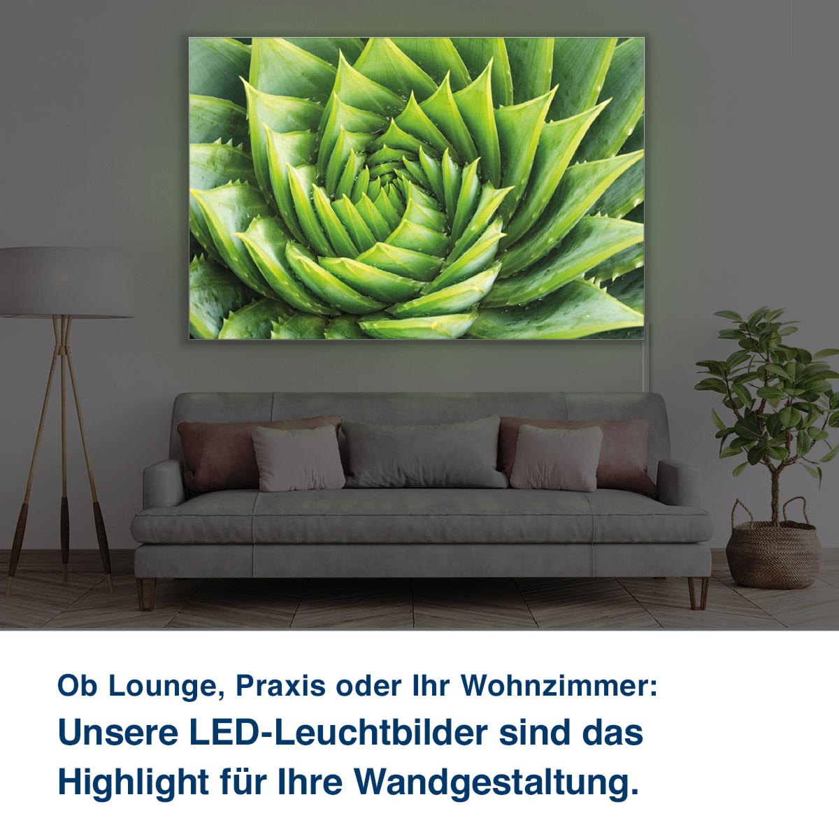 LED-Leuchtbild Aloe Vera Pflanze