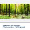Textilbild Motiv Frischer grüner Frühlingswald 