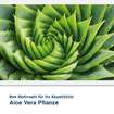 Textilbild Motiv Aloe Vera Pflanze