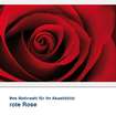 Textilbild Motiv rote Rose