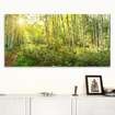 Akustikbild Birkenwald Lounge, einseitig, Wandmontage