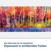 Akustikbild Motiv Komposition mit schwarzen Texturen