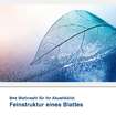 Akustikbild Motiv Feinstruktur eines Blattes