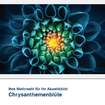 Akustikbild Motiv Chrysanthemenblüte