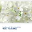 Akustikbild Motiv Weiße Fliederblüte