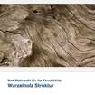 Akustikbild Motiv Wurzelholz Struktur