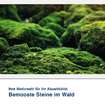 Akustikbild Motiv Bemooste Steine im Wald