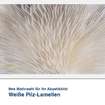 Akustikbild Motiv Weiße Pilz-Lamellen