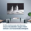 Ob Büro, Konferenzraum oder Showroom:  Unsere Akustikbilder steigern Wohl- befinden und Konzentrationsfähigkeit.