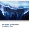 Akustikbild Motiv Qualle im Meer