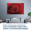Ob Büro, Konferenzraum oder Showroom:  Unsere Akustikbilder steigern Wohl- befinden und Konzentrationsfähigkeit.