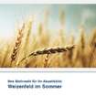 Akustikbild Motiv Weizenfeld im Sommer
