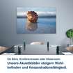 Ob Büro, Konferenzraum oder Showroom:  Unsere Akustikbilder steigern Wohl- befinden und Konzentrationsfähigkeit.