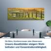 Ob Büro, Konferenzraum oder Showroom:  Unsere Akustikbilder steigern Wohl- befinden und Konzentrationsfähigkeit.