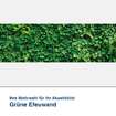 Akustikbild Motiv Grüne Efeuwand