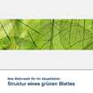 Akustikbild Motiv Struktur eines grünen Blattes