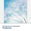 Akustikbild Motiv Pusteblume