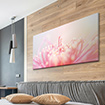 Akustikbild rote Chrysantheme