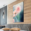 Akustikbild rosa Gerbera