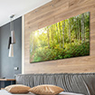 Akustikbild Birkenwald Lounge, einseitig, Wandmontage