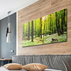 Akustikbild Wald Lounge, einseitig, Wandmontage