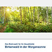 Akustikbild Motiv Birkenwald in der Morgensonne