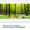 Akustikbild Motiv Frischer grüner Frühlingswald 