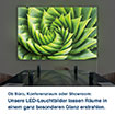 LED-Leuchtbild Aloe Vera Pflanze