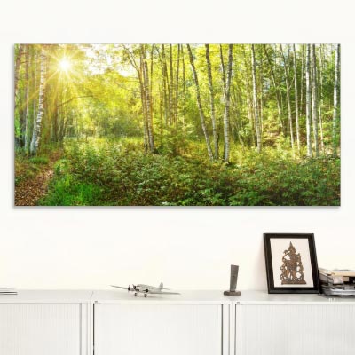 Akustikbild Birkenwald, einseitig, Wandmontage
