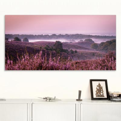 Akustikbild Nebel über der Heide