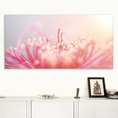Akustikbild rote Chrysantheme