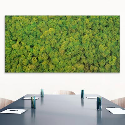 Akustikbild grüne Mooswand