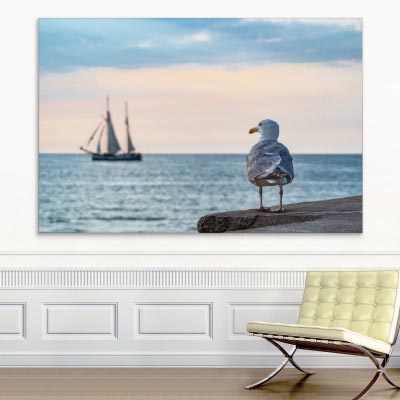 Akustikbild Möwe am Meer mit Segelboot